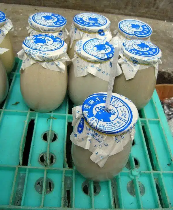Locals and Tourists LOVE Old Beijing Yogurt.
