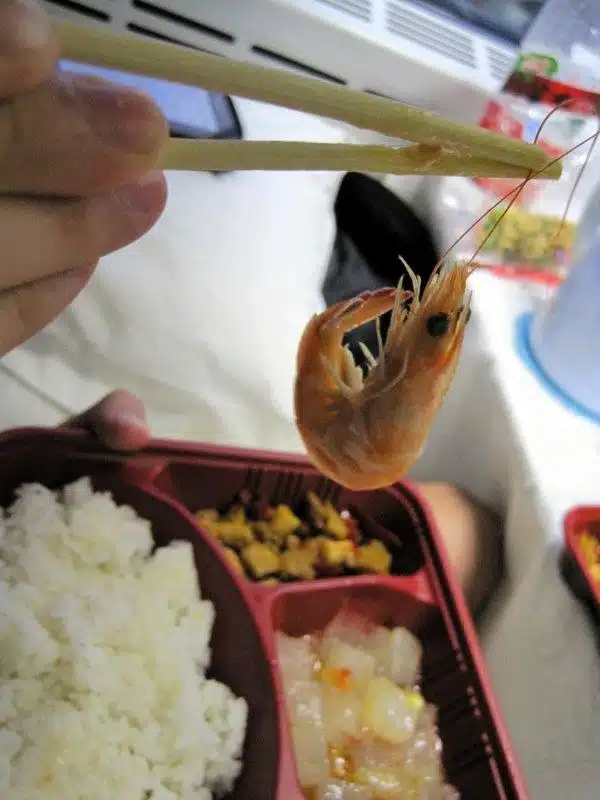 Train dinner and staring shrimp.