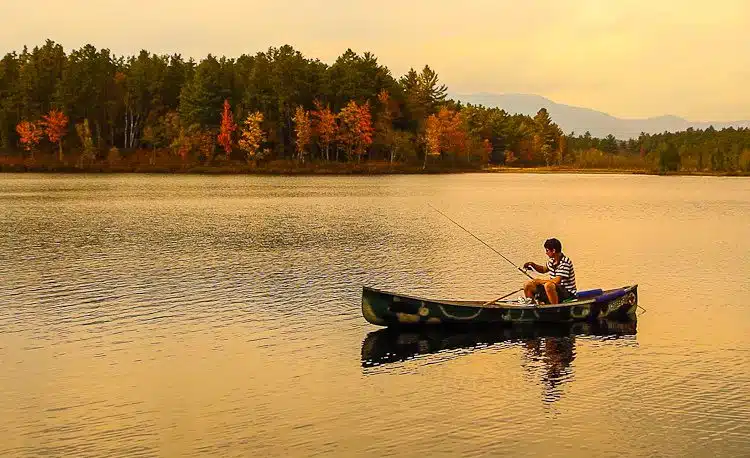 What a beautiful fishing moment for autumn!