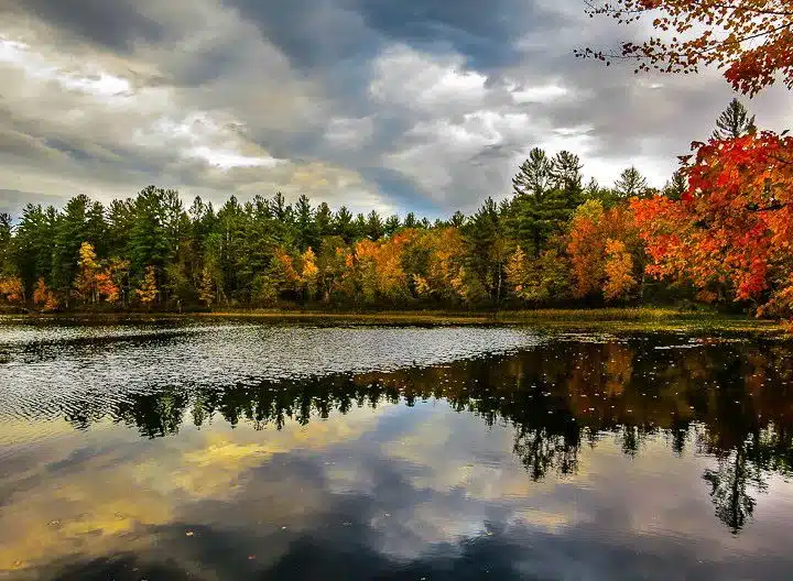 The New England fall foliage is crazy beautiful!