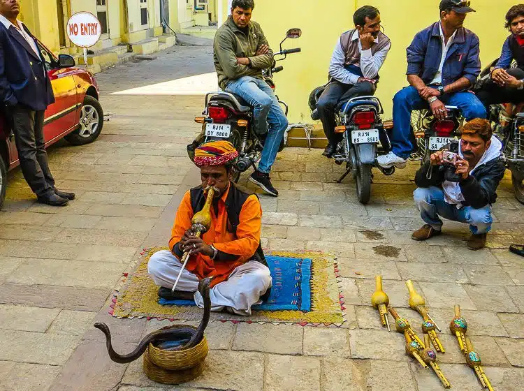 A DOUBLE snake charmer in another spot of our India tour. 