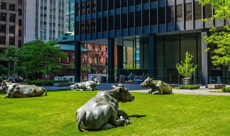 Random cow sculptures grace the lawn outside the towering buildings. 