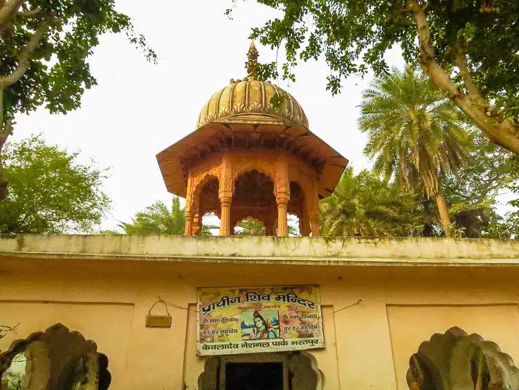 Whoa! A working temple in the middle of the bird sanctuary! 