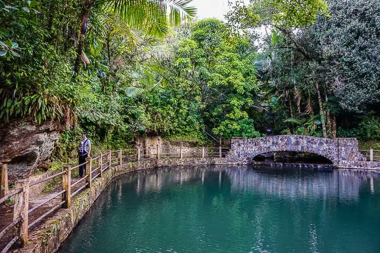 Baño Grande is a lovely body of water to walk around in the rainforest. 