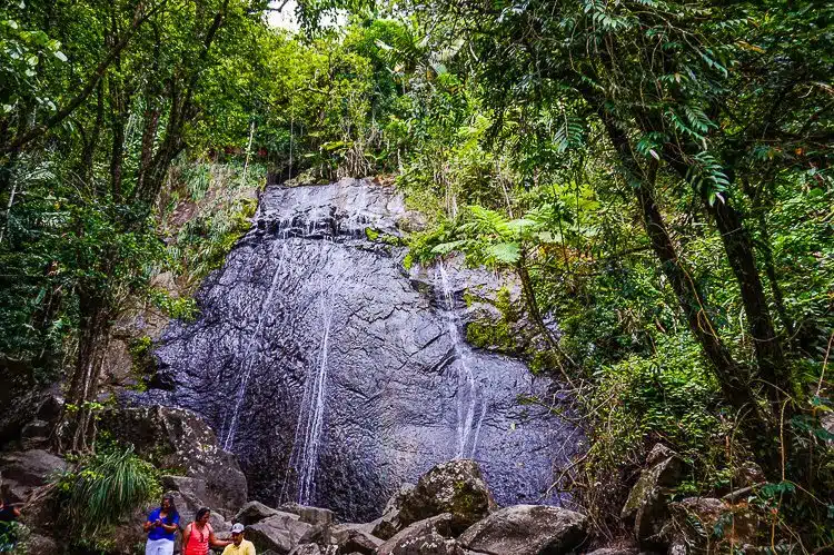 La Coca Falls in El Yunque is just a few feet from the road. 