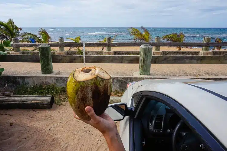 Coconut Puerto Rico car rental