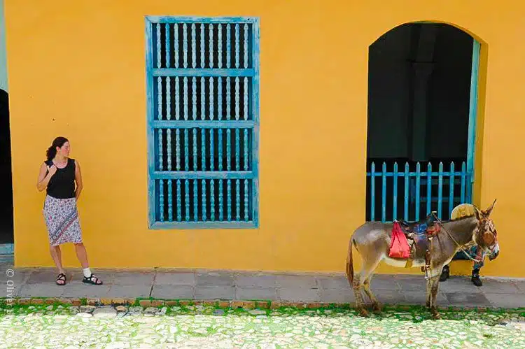 Me posing with a donkey and yellow wall in Trinidad, Cuba because... why not?