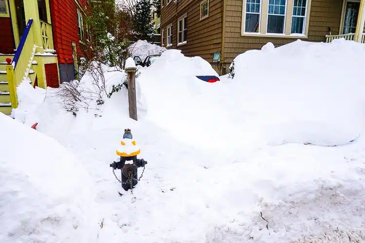 Can you see that car buried in the driveway? 