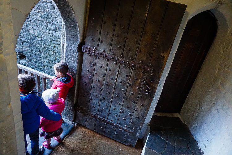 Bunratty castle door.