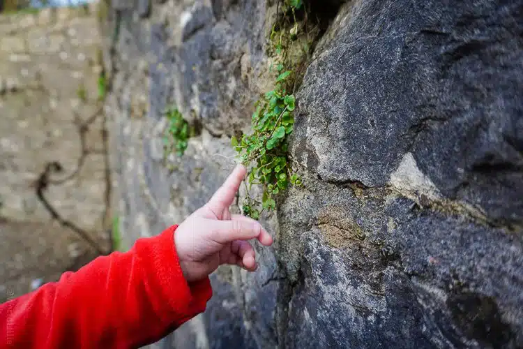 These little hands loved exploring in Ireland.