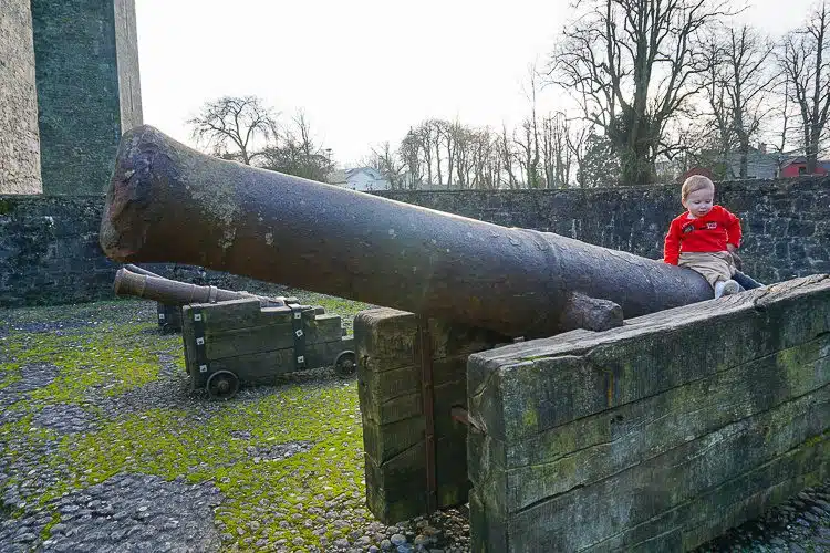 Bunratty Castle cannons