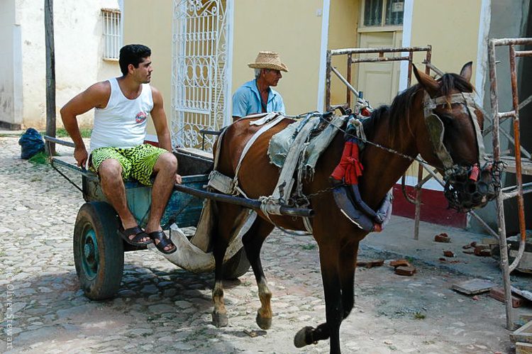 A giant man on a tiny horse buggy in Trinidad, Cuba.