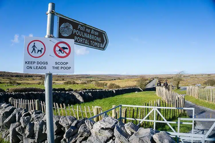 The entrance to Poulnabrone dolmen. No dog waste on the portal! 