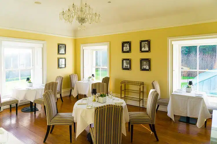 In the morning we did a happy jig down to breakfast in this sunny yellow dining room.