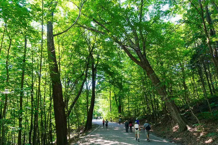 Parc du Mont-Royal will give your family many happy hours.