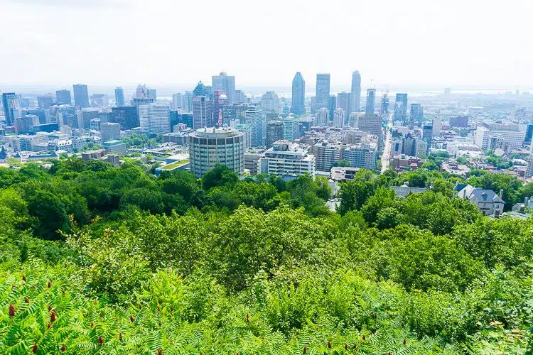 Parc du Mont-Royal covers a large part of Montreal!