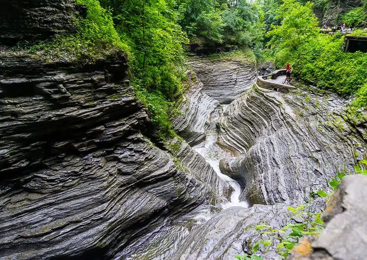 Watkins Glen State Park, NY is not to be missed!