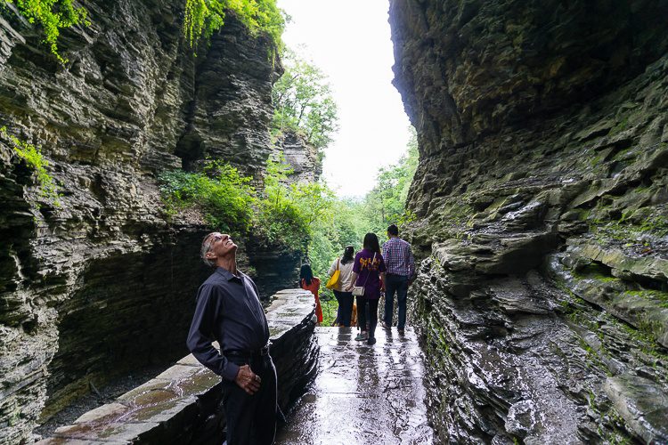 Looking up at the cliffs of Watkins Glen State Park