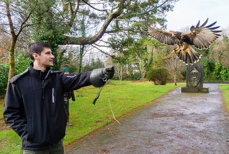 Colin was a pro at falconry!