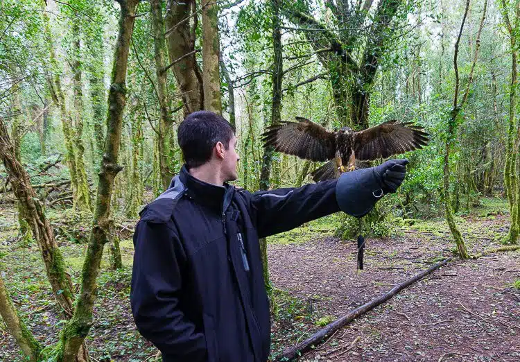 Doing falconry in the woods was magical.