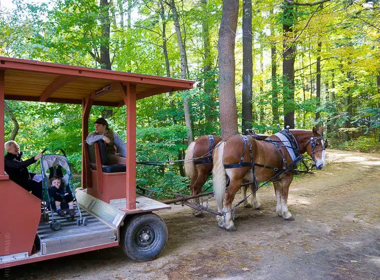 The horse-drawn buggy even fits a stroller! Old Sturbridge Village