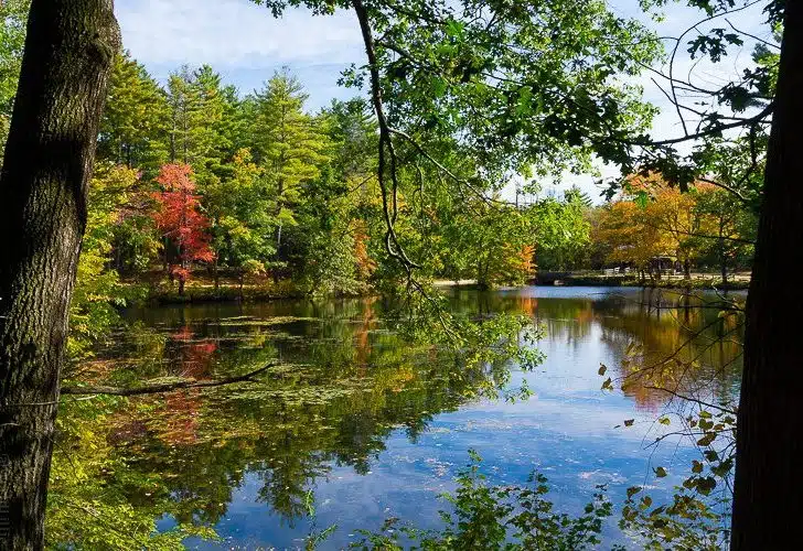 Lose yourself in the beauty!
