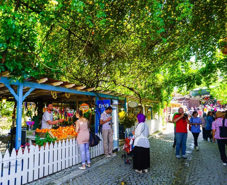 A leafy canopy of trees shades the market from sun.