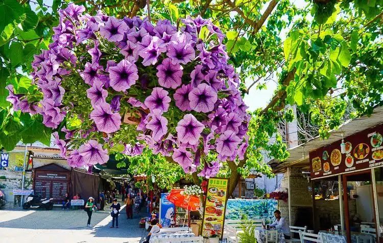 Flowers and foliage abound in the outdoor market.