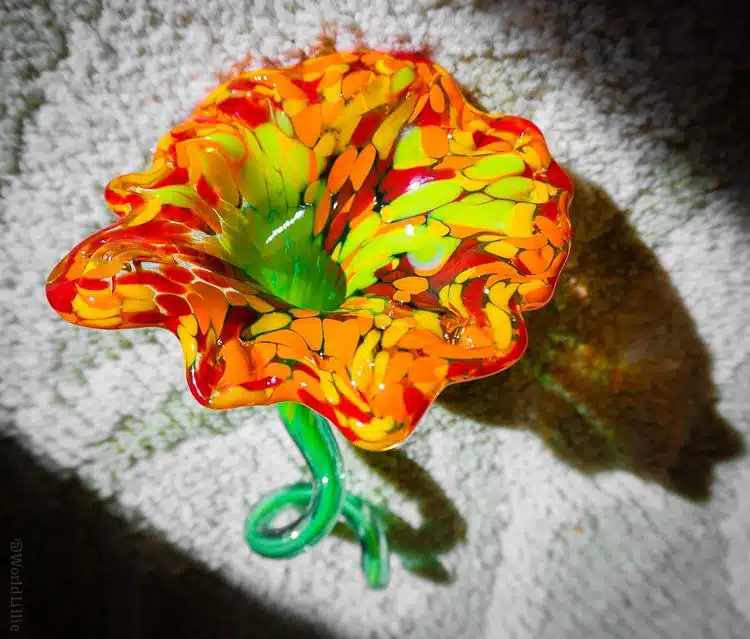I can't believe I made this glass flower.