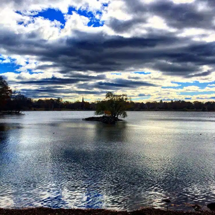 Clouds reflecting in Jamaica Pond, Boston. 