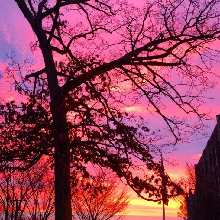 What makes a popular travel post? Pictured: A gorgeous purple and pink sunrise in Boston.
