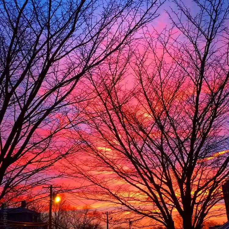 Another view of the wonderful pink and purple sunrise in Boston this week.