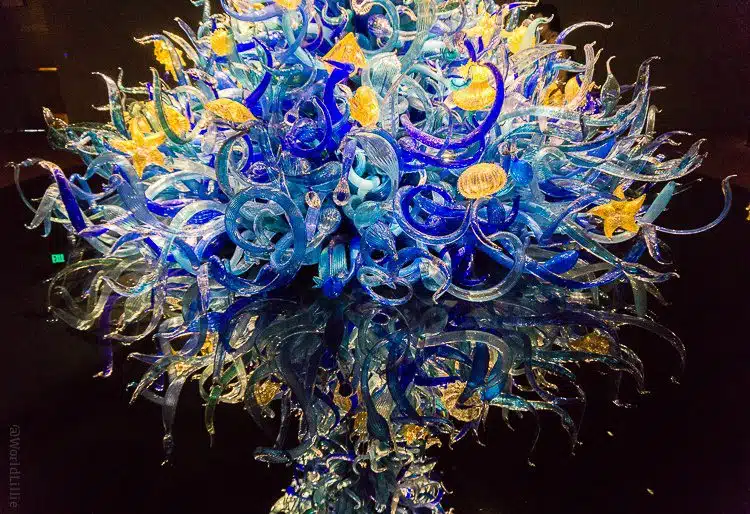Chihuly glass sculpture in the Seattle exhibit