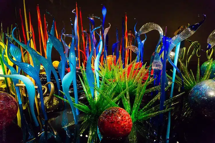 Chihuly Garden and Glass photos