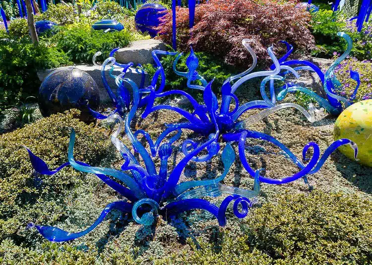 Chihuly garden: Blue glass snakes! 