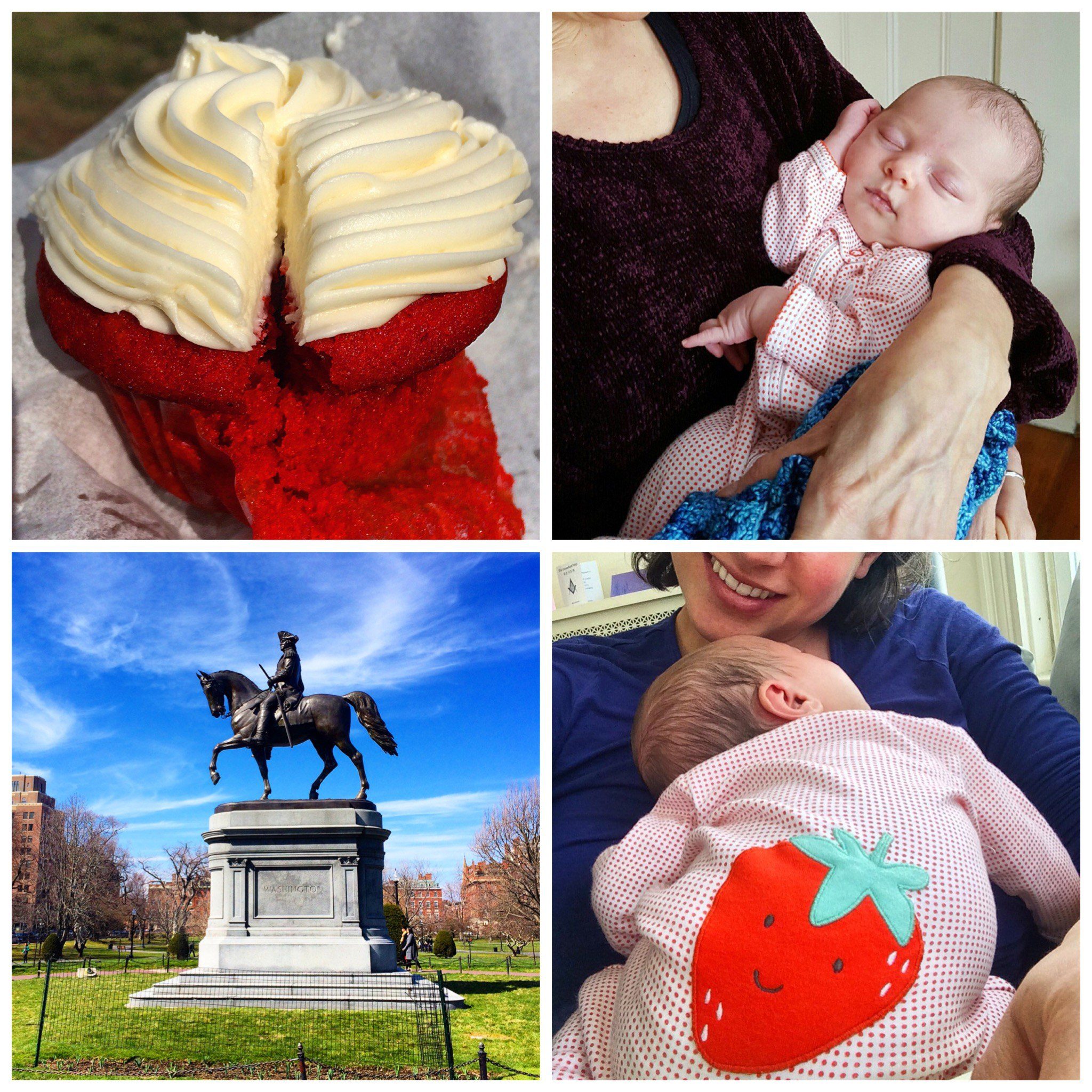 More scenes from walking and nursing around Boston: Red velvet cupcake, Joya looking sweet, the Boston Public Garden, and a strawberry rump!