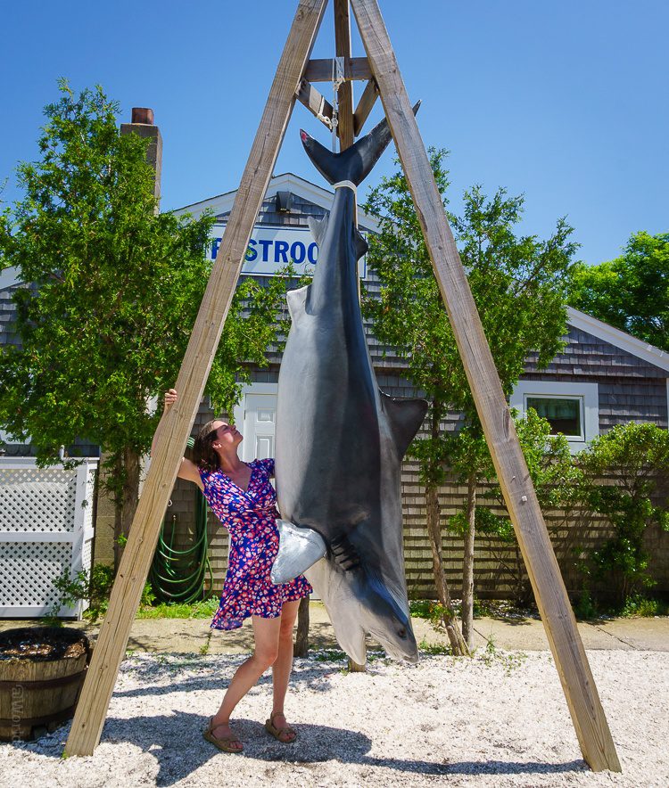 Provincetown, MA on Cape Cod has some of the best quick and delicious food, and fun giant sculptures like this shark to take photos with!