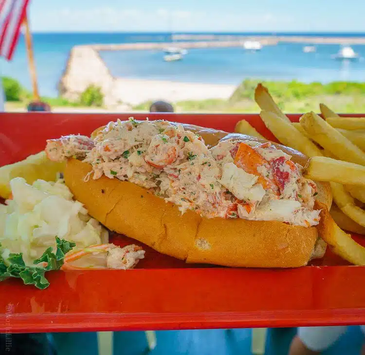 Double lobster National Hotel lobster roll!