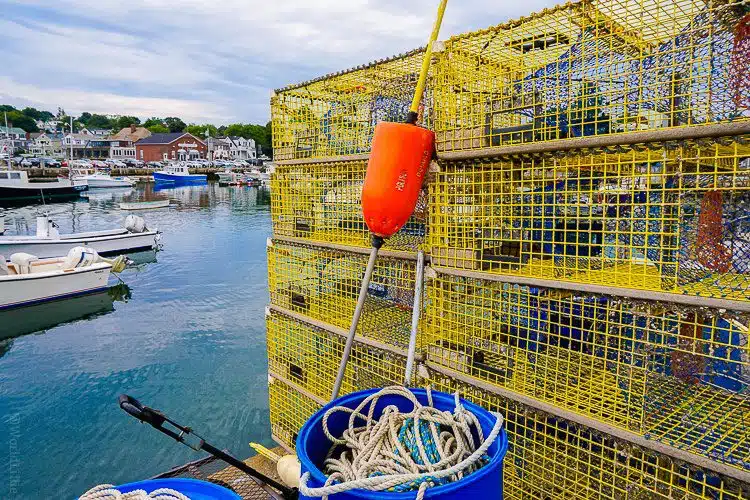 Our lobster was caught in these very traps outside the restaurant!