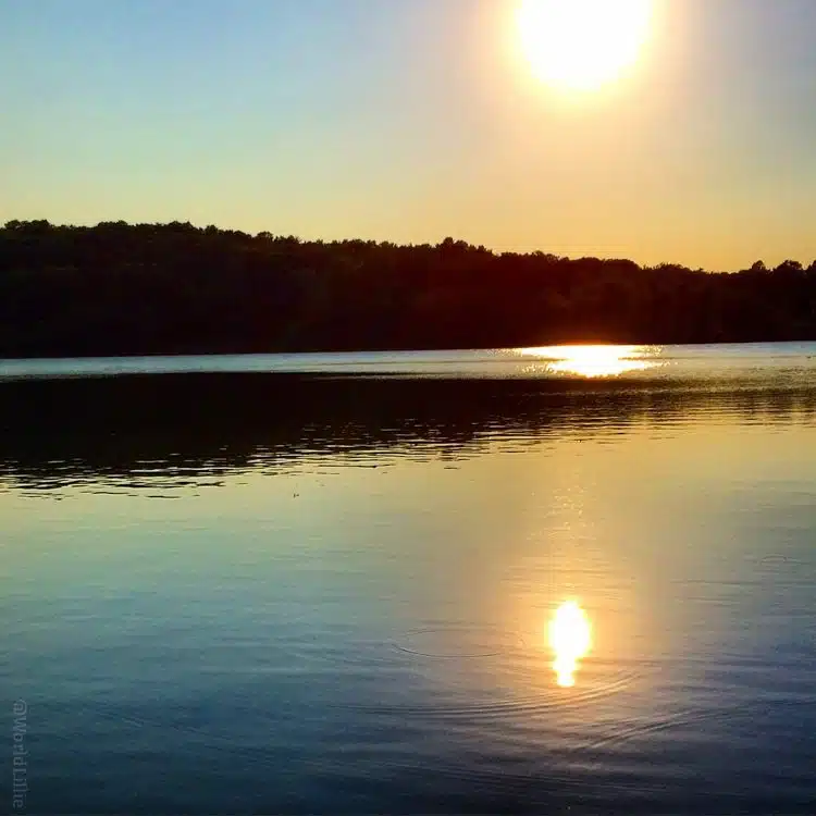 The water in Jamaica Pond can be smooth and reflective as a mirror.