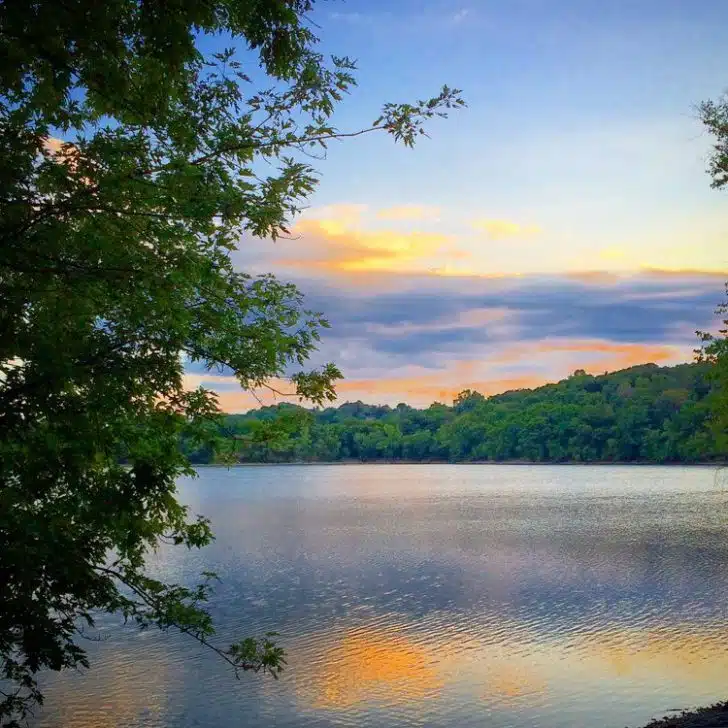 Looks like a Monet painting!