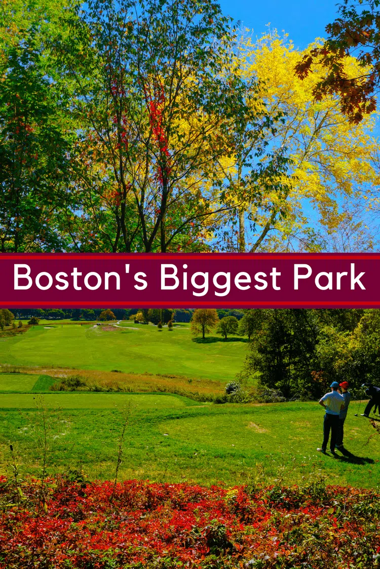Boston's Biggest Park, Franklin Park, has something for everyone, including a zoo, golf course, and 15 miles of paths for walking, jogging, and biking!