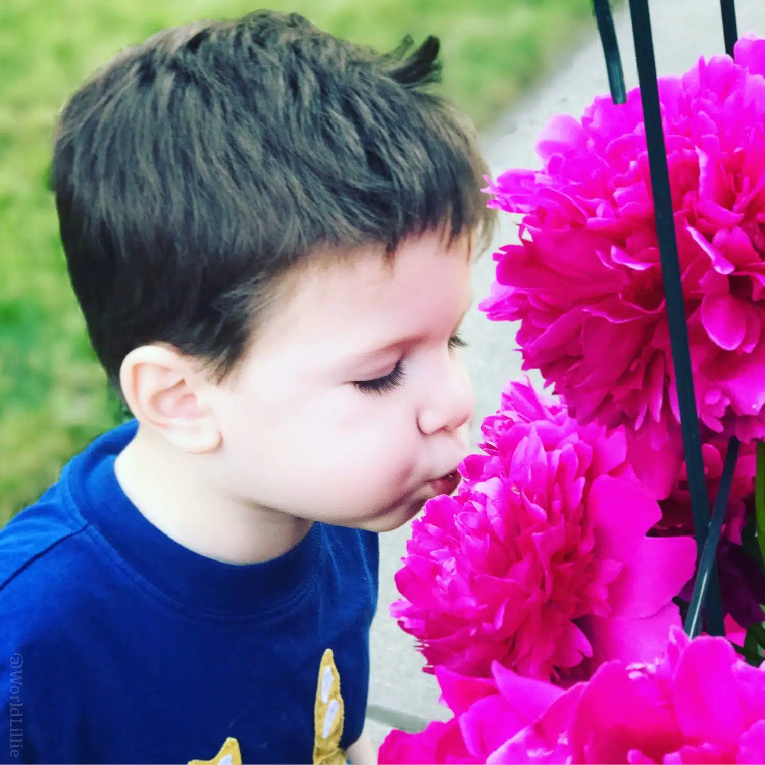 Kissing the flowers.