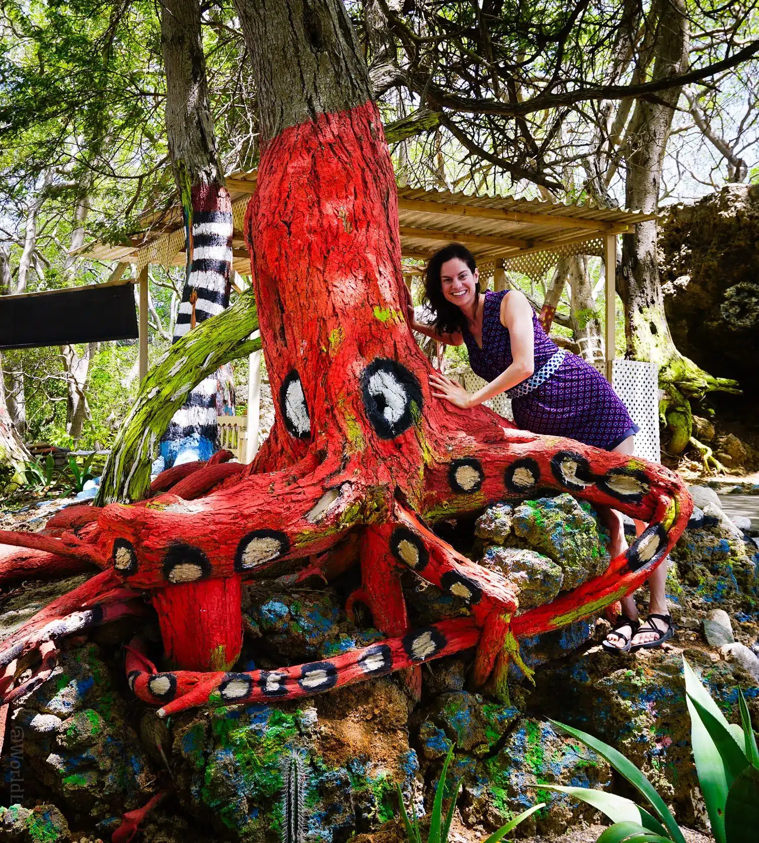 I loved this octopus tree! Curaçao rocks out public art!