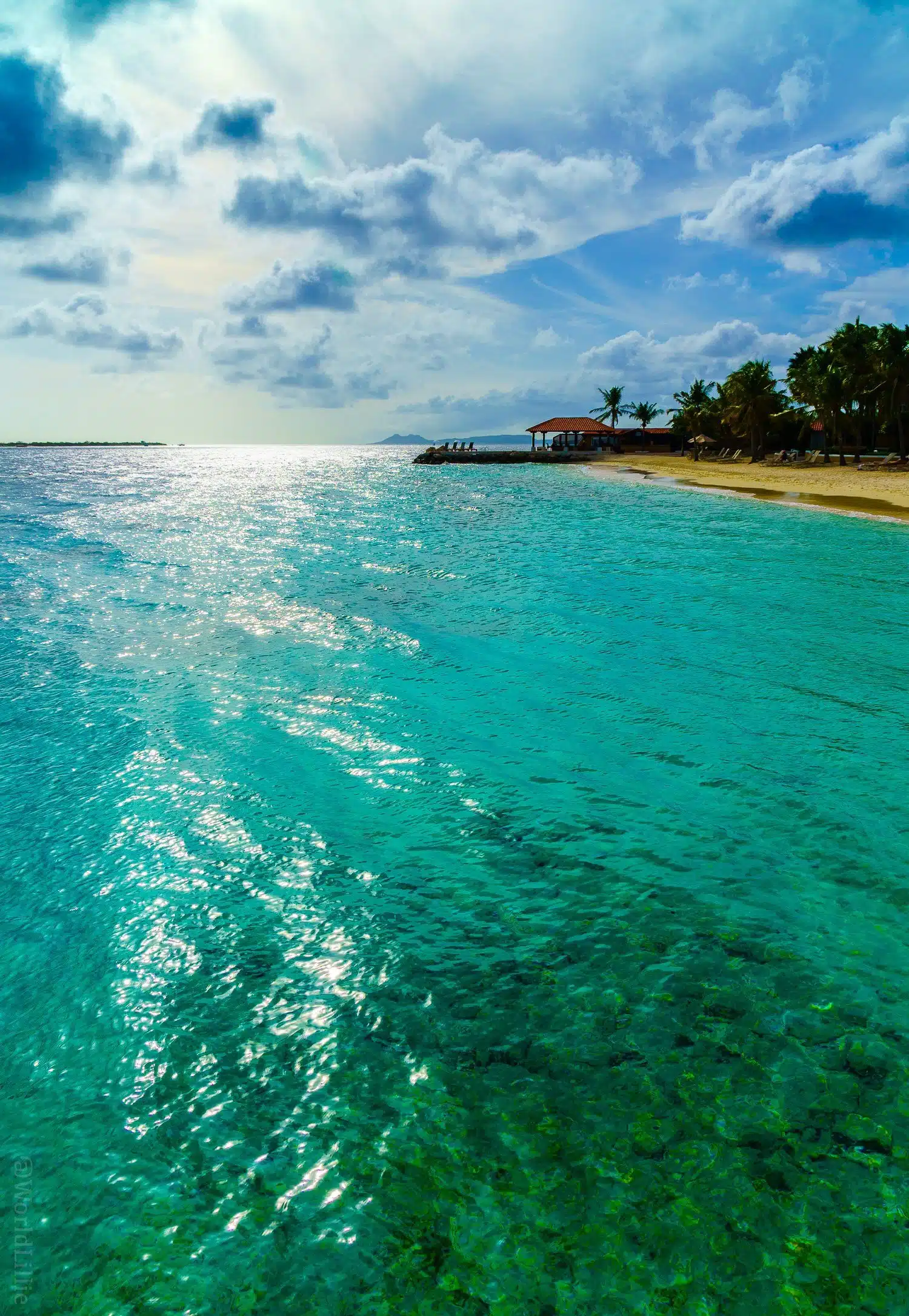 Now that's a beauty of a Caribbean beach. Bonaire is a fascinating island near Aruba that many don't know about.