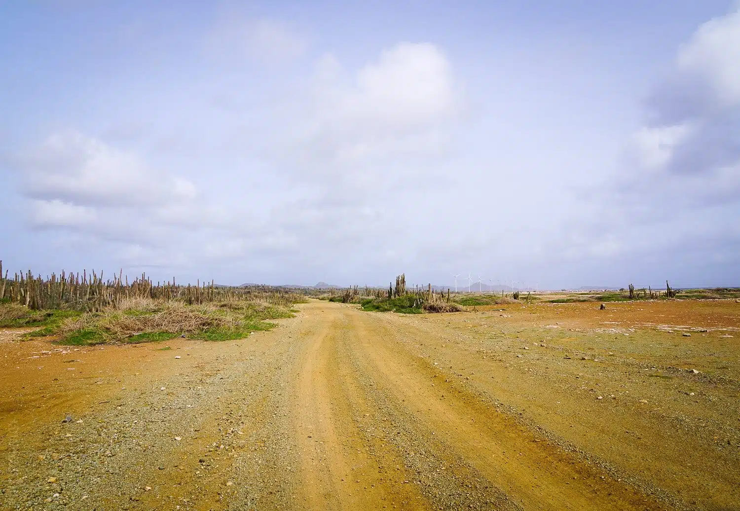 A desert-dramatic road in the north of Bonaire.