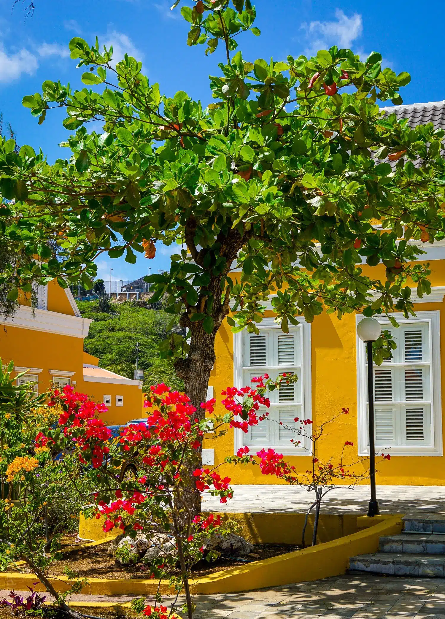 Willemstad, Curaçao has great architecture, and the Scharloo neighborhood features historic mansions that look like brightly-colored wedding cakes! See these happy, fun buildings here.