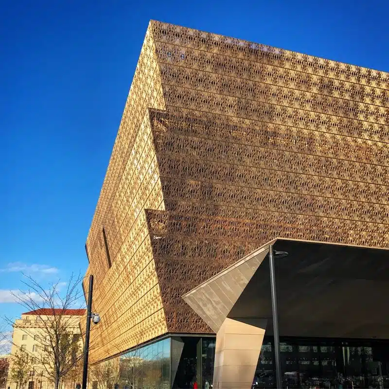 The National Museum of African American History and Culture in DC which we were luckily healthy enough to visit a few months ago.