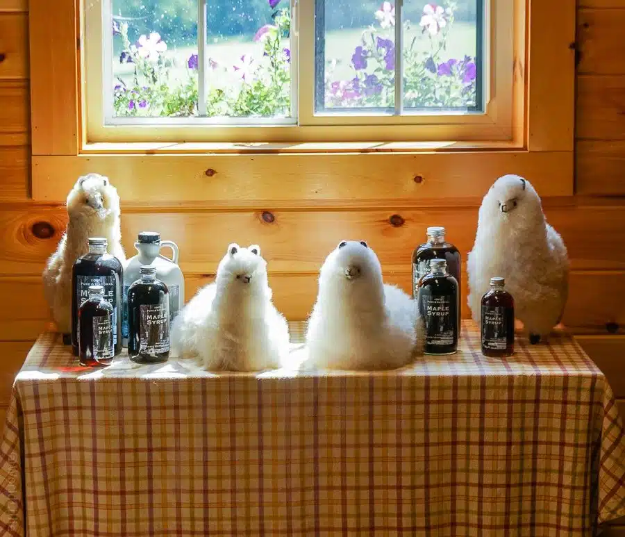 Want to buy some syrup or fuzzy dolls?