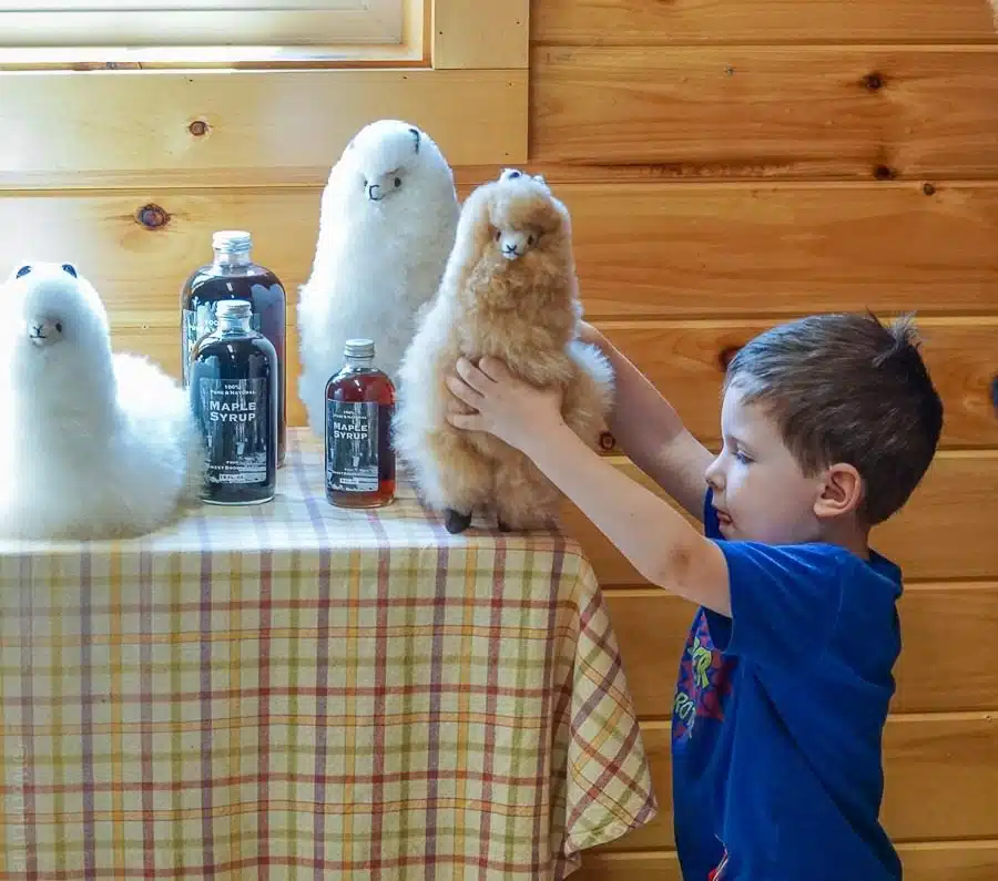 Cuddly alpaca dolls are on offer.